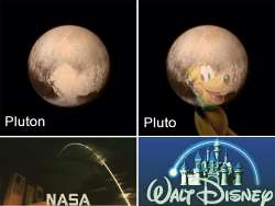 960x722