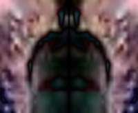 480x395