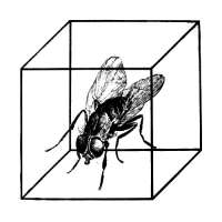 500x500