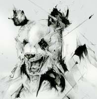 900x918