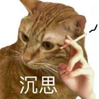 482x483