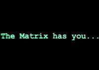 619x441