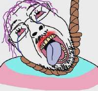 345x320