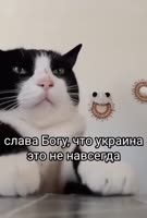576x848