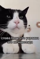 576x848
